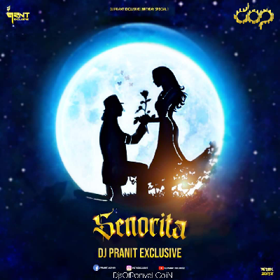 Senorita DJ Pranit Exclusive